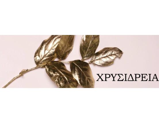 ΧΡΥΣΙΔΡΕΙΑ ΕΤΟΣ 2026